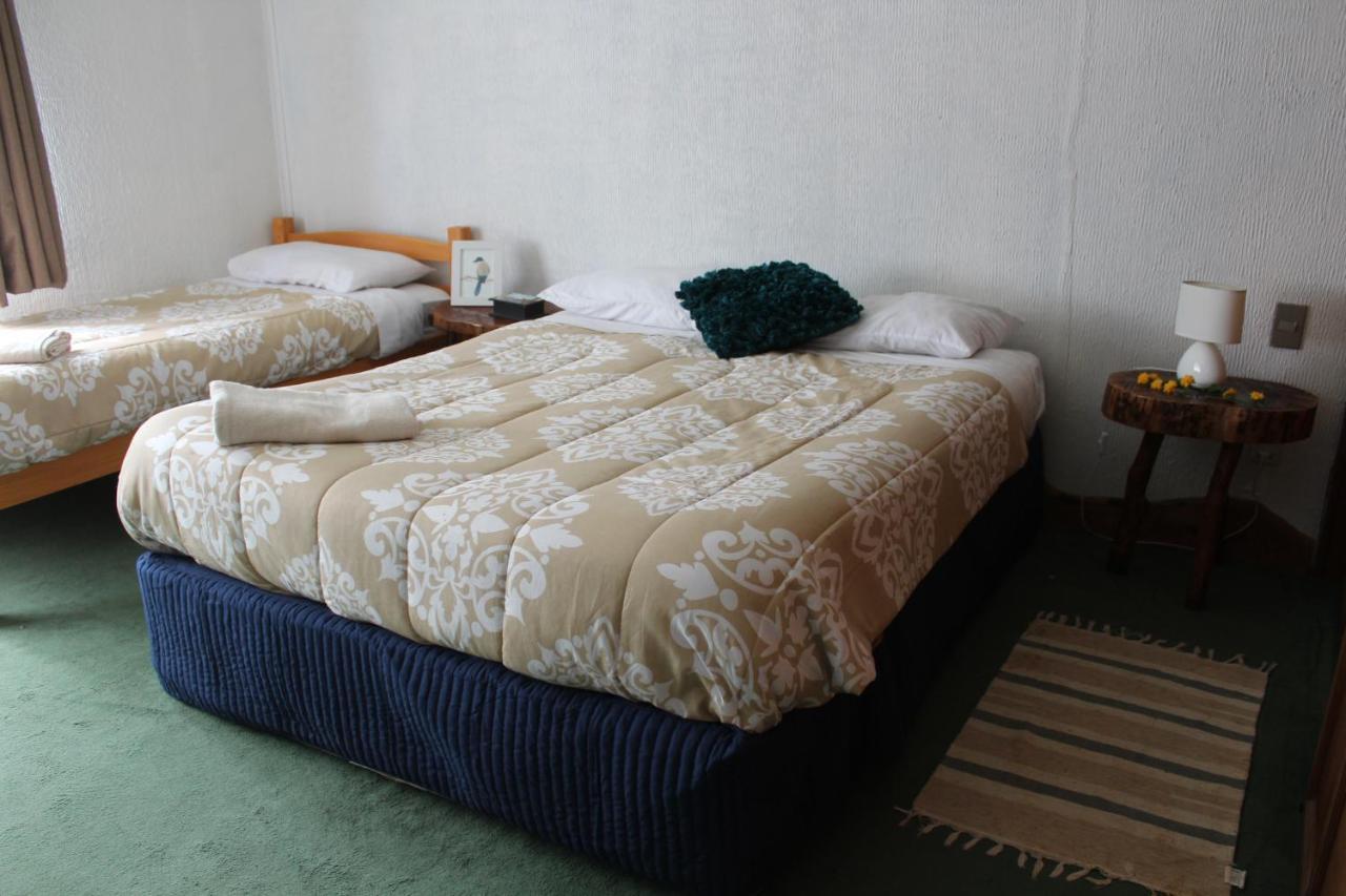 Albergue Alma Nativa Pucón